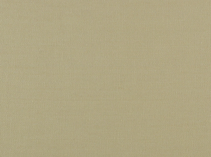 Glynn Linen 18 Oyster by Covington Designer Fabric Covington Right 41.5 62.25 0 0 by product
