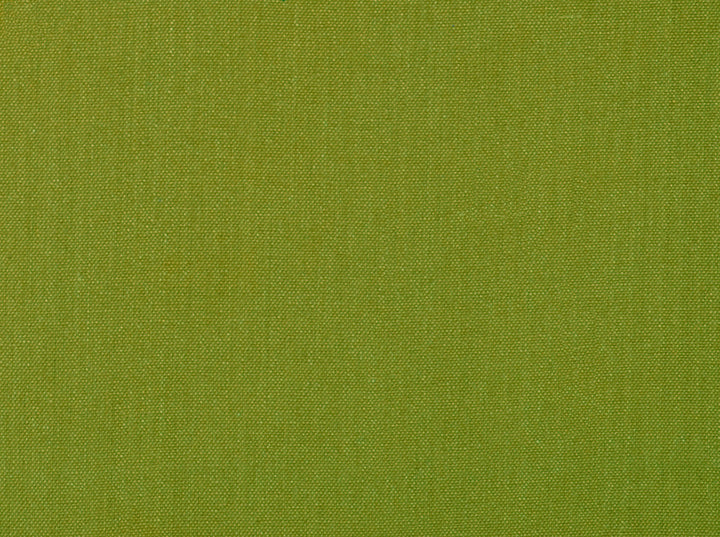 Glynn Linen 208 Apple Green by Covington Designer Fabric Covington Right 41.5 62.25 0 0 by product