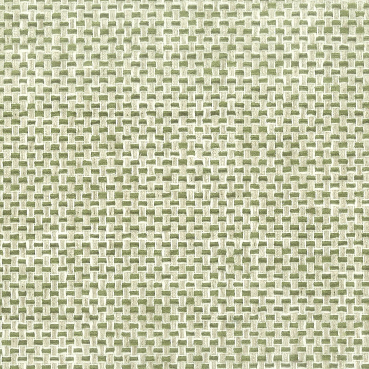 Golf 2 Fern by Stout Designer Fabric COMFORTABLE LIVING ALOE/FERN 36%COT 64%POL INDIA PERFORMANCE RATED FABRIC FLAME RETARDANT-U.F.A.C. CLASS 1 CATB 117-2013 WYZENBEEK 51 000 DOUBLE RUB WEAR TEST (HEAVY DUTY) Horizontal: 2.000 and Vertical: 0.000 54 in - Swanky Fabrics -