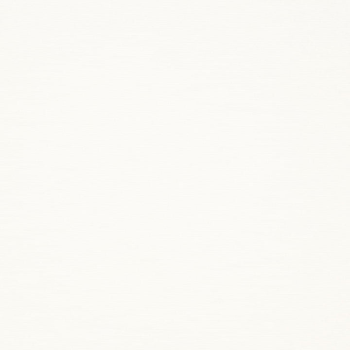 Gorgeous 1 Snow by Stout Designer Fabric SOFTER SIDE FAUX SILK 80%SVI 20%POL INDIA </p><p>Repeat: 0 54 in - Swanky Fabrics -