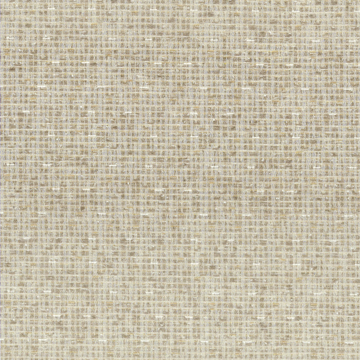 Gortham 3 Raffia by Stout Designer Fabric LIVING IS EASY SALT/SANDSTONE 44%OLE 34%POL 22%COT USA PERFORMANCE RATED FABRIC FLAME RETARDANT-N.F.P.A. 260A CLASS 1 CATB 117-2013 WYZENBEEK 90 000 DOUBLE RUB WEAR TEST (HEAVY DUTY) Horizontal: 2.875 and Vertical: 3.5 54 in - Swanky Fabrics -