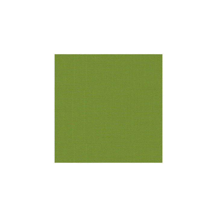 Canvas Ginkgo by Kravet Design Designer Fabric SOLEIL COLLECTION SOLUTION DYED ACRYLIC - 100% United States MEDIUM Horizontal: 0 and Vertical: 0 54 - Swanky Fabrics -