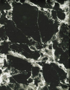 Griffin Black by Norbar Designer Fabric