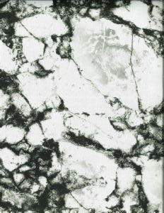 Griffin White by Norbar Designer Fabric