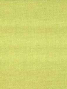 Grotto Lime 25326 by Norbar Designer Fabric