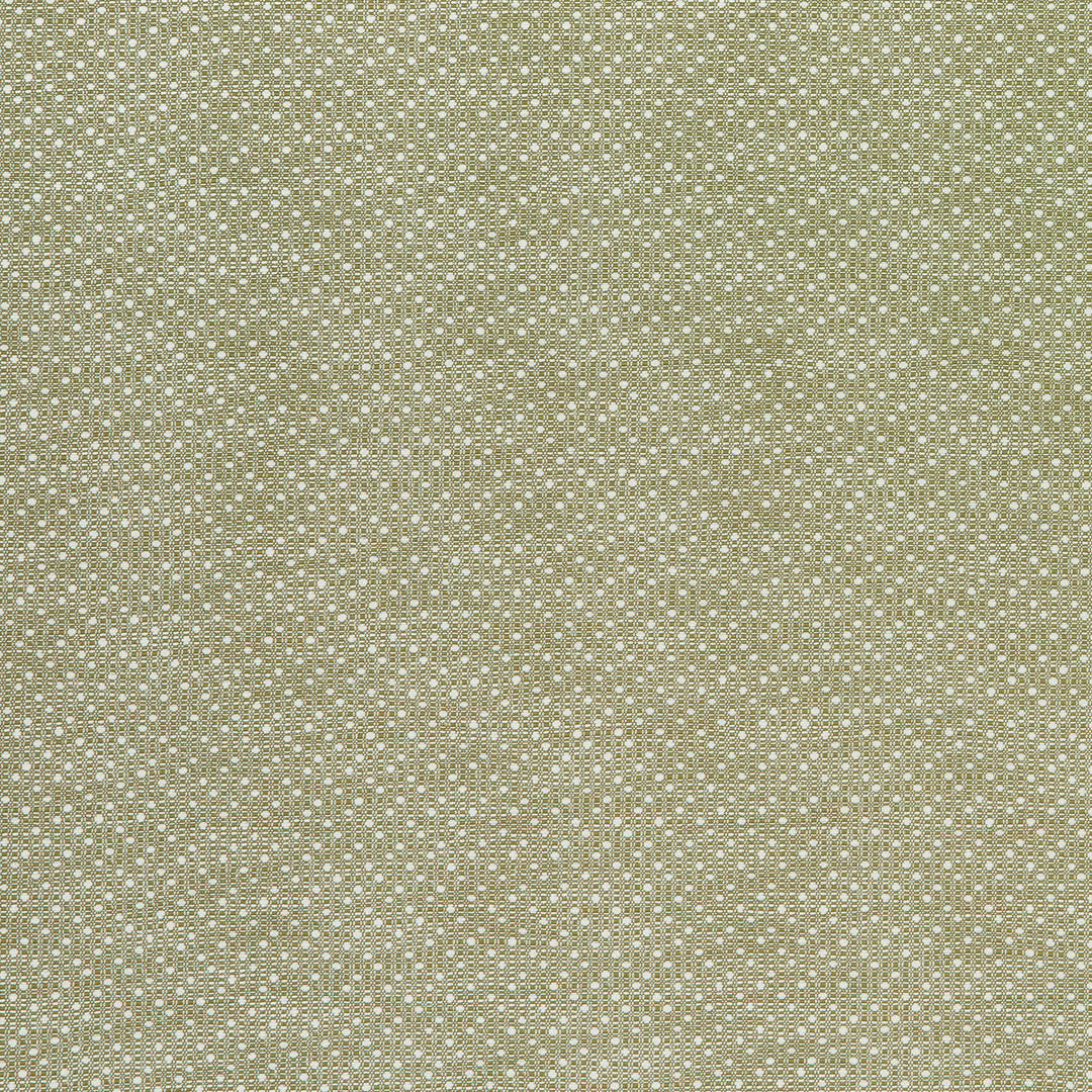 Groupie 1 Pistachio by Marcus William Designer Fabric Groupie 1 Pistachio by Marcus William Fabric KAI/MARCUS WILLIAM KELBY 100%POL India Horizontal: 1 and Vertical: 0.75 55 in - Fabric Carolina -