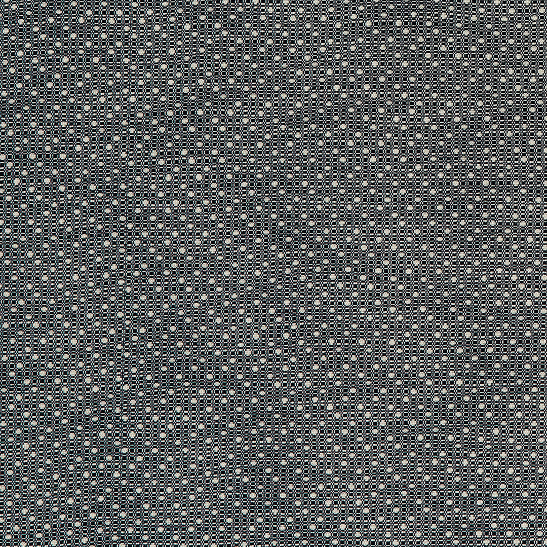 Groupie 2 Ebony by Marcus William Designer Fabric