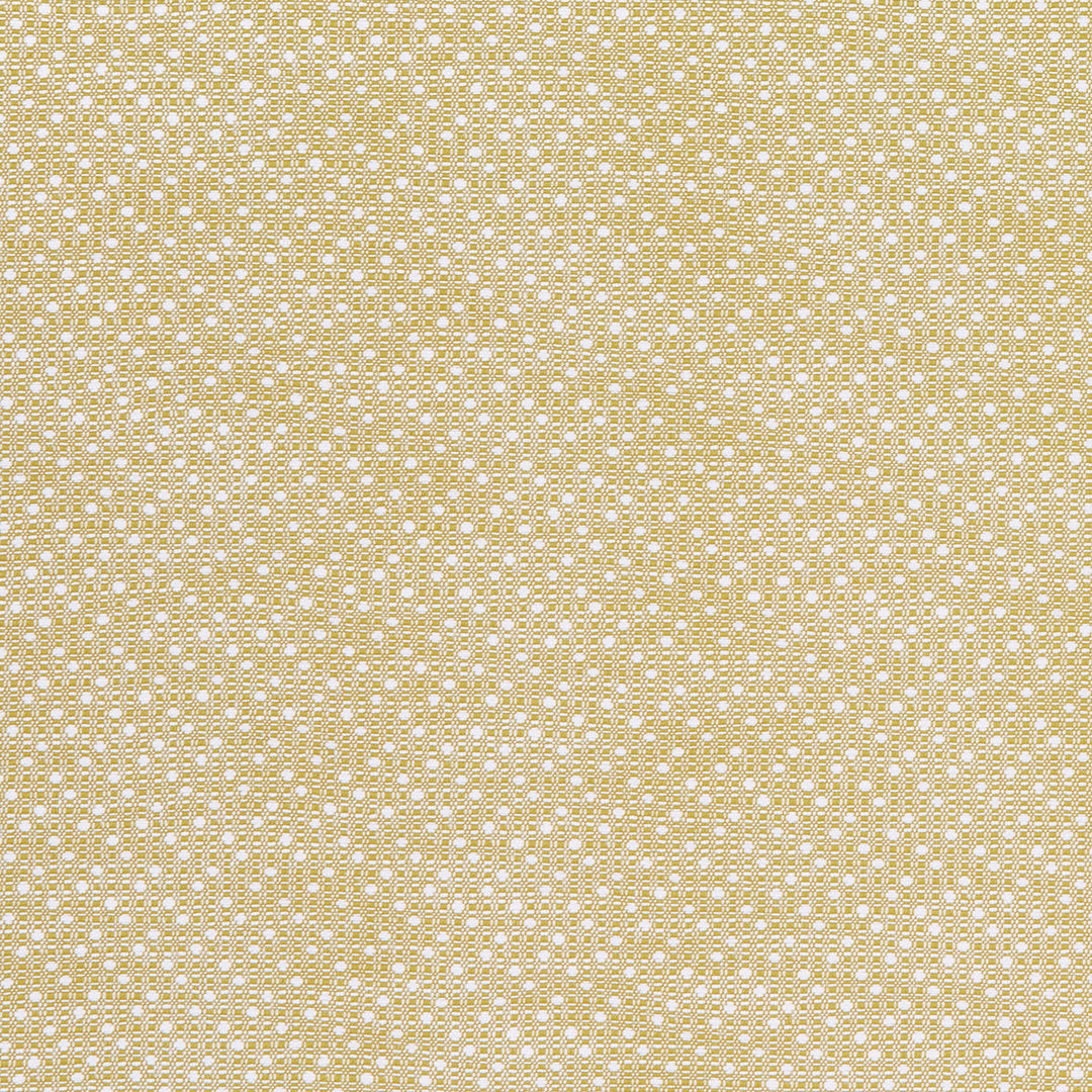 Groupie 7 Honey by Marcus William Designer Fabric Groupie 7 Honey by Marcus William Fabric KAI/MARCUS WILLIAM KELBY 100%POL India Horizontal: 1 and Vertical: 0.75 55 in - Fabric Carolina -
