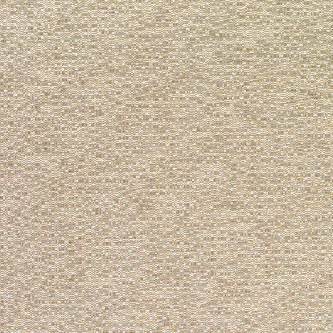 Groupie 9 Desert by Marcus William Designer Fabric Groupie 9 Desert by Marcus William Fabric KAI/MARCUS WILLIAM KELBY 100%POL India Horizontal: 1 and Vertical: 0.75 55 in - Fabric Carolina -