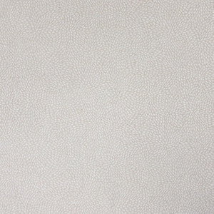 Growl 4 Oyster by Stout Designer Fabric