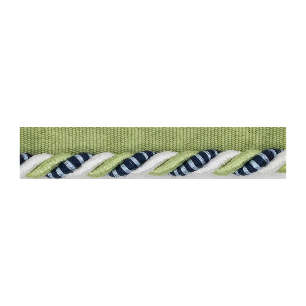 Gruver Cord 3 Seedling by Stout Trim Stout Trim Gruver Cord 3 SeedlingTrim SMALL WONDERS TRIM 55%SVI 45%POL CHINA </p><p>Repeat: H: 0.000, V: 0.000 0.38 in - Fabric Carolina -