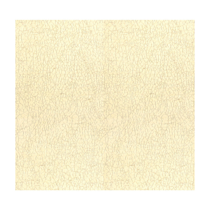 Breakwater Oyster by Groundworks Designer Fabric KELLY WEARSTLER TERRA FIRMA TEXTILES SOLUTION DYED ACRYLIC - 100% United States MEDIUM Horizontal: 9.25 and Vertical: 17.5 54 - Swanky Fabrics -