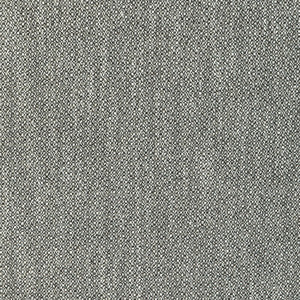 Torus Flint GWF-3793.8106.0 By Lee Jofa Modern Designer Fabric