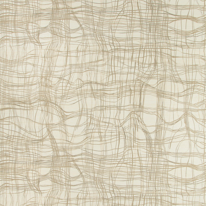 Entangle Paper Almond by Lee Jofa Modern Wallcovering Lee Jofa Modern Wallcovering Entangle Paper AlmondWallcovering KELLY WEARSTLER WALLPAPERS IV JUTE - 90%;COTTON - 10% Italy </p><p>Repeat: H: 34.25, V: 24.41 34.25 - Fabric Carolina -