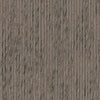 Fossil (Wp) # A14 Java by Maxwell Designer Wallpaper