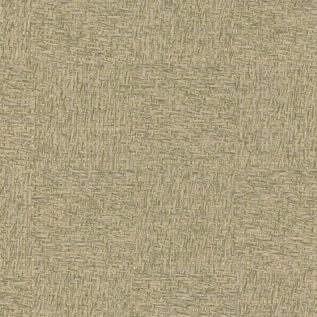 Aloe (Wp) # A62 Sage by Maxwell Designer Wallpaper Grasscloth Wallcovering PAPERWEAVE BACKING: 90g NON WOVEN CHINA 36" x 8YD - Swanky Fabrics -