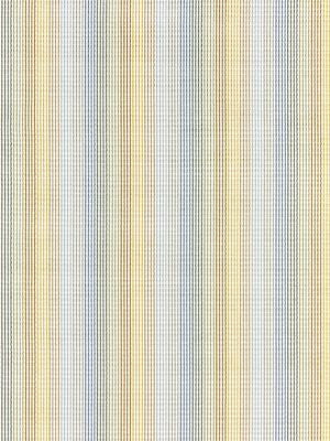 Anderson Velvet Stripe Coastline GW272440001 by Grey Watkins Designer Fabric FOLKLORE 60% VISCOSE 31% COTTON 9% POLYESTER BELGIUM HEAVY DUTY Horizontal: 0" and Vertical: 6.75" 54 - Swanky Fabrics -