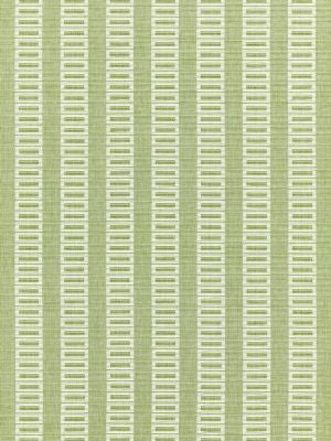 Lark Stripe Grass GW272450002 by Grey Watkins Designer Fabric FOLKLORE 100% COTTON INDIA MEDIUM DUTY Horizontal: 0.75" and Vertical: 3.25" 55 - Swanky Fabrics -