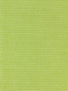 Honeycomb Weave Kiwi GW272090003 by Grey Watkins Designer Fabric