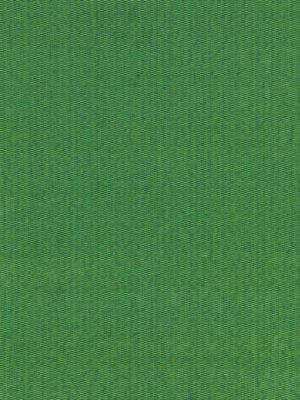 Reed Texture Palm GW272120004 by Grey Watkins Designer Fabric BREEZE 100% MERCERISED COTTON INDIA MEDIUM DUTY Horizontal: 0" and Vertical: 0" 53 - Swanky Fabrics -