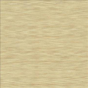 Gainsford Beige by Kasmir Designer Fabric