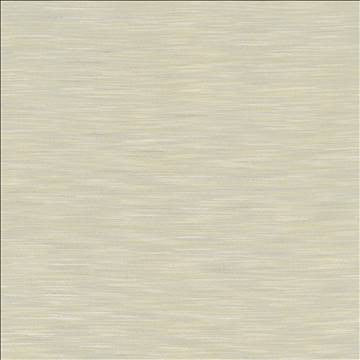 Gainsford Light Grey by Kasmir Designer Fabric