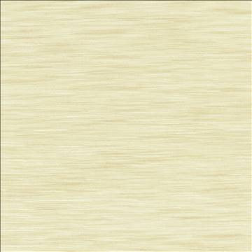 Gainsford Oyster by Kasmir Designer Fabric