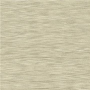 Gainsford Stone by Kasmir Designer Fabric