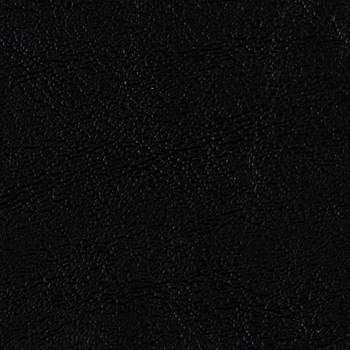 Grand Sierra Black B363492 by Omnova Designer Fabric See sample 100% Vinyl USA or Imported Water-based cleaning agents and foam may be used for cleaning. Cleaning by a professional cleaning service is recommended.  54  - Swanky Fabrics -