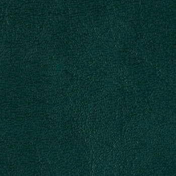 Grand Sierra Hunter B363495 by Omnova Designer Fabric our website for purchase 100% Vinyl USA or Asia Water-based cleaning agents and foam may be used for cleaning. This fabric may also be cleaned with mild, water-free solvents. Cleaning by a professional cleaning service is recommended. Horizontal: - and Vertical: - 54" - Swanky Fabrics -