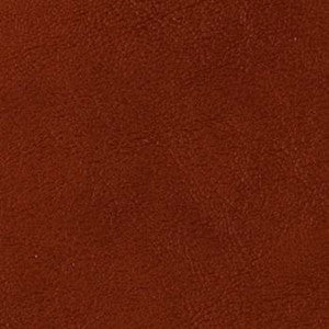 Grand Sierra Spice by Omnova Designer Fabric
