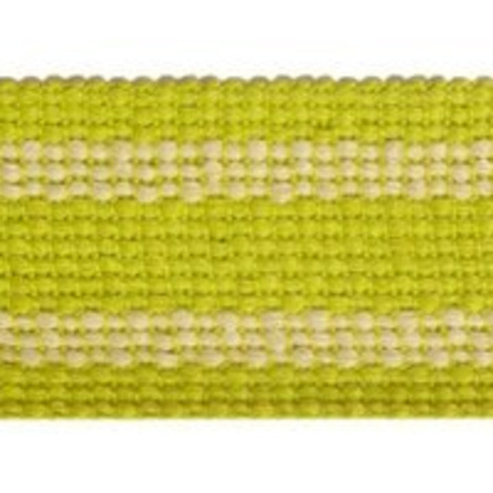 Grassi Kiwi by Europatex Designer Fabric Carnivale 100% Polyester 1.75 inches - Swanky Fabrics -
