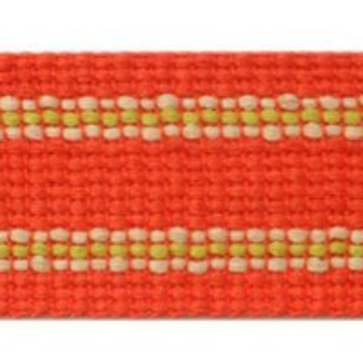 Grassi Mango by Europatex Designer Fabric Carnivale 100% Polyester 1.75 inches - Swanky Fabrics -