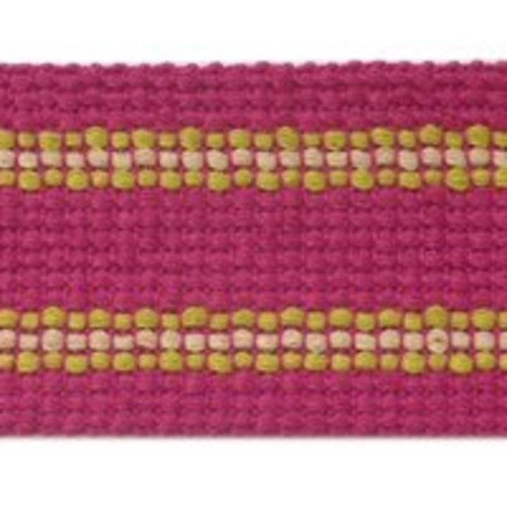 Grassi Pink by Europatex Designer Fabric Carnivale 100% Polyester 1.75 inches - Swanky Fabrics -