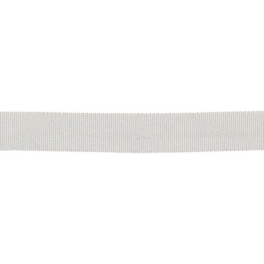 Versailles 7/8" Grosgrain Ribbon - Platinum by Europatex Designer Fabric Versailles 100% Rayon China See Sample Horizontal: N/A and Vertical: N/A 0.88 inches  - Swanky Fabrics -