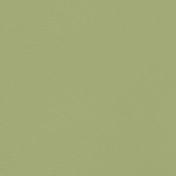 Guardian Sentinel GUA 1315 by Spradling Designer Fabric See sample 100% Vinyl USA or Imported Water-based cleaning agents and foam may be used for cleaning. Cleaning by a professional cleaning service is recommended.  54  - Swanky Fabrics -