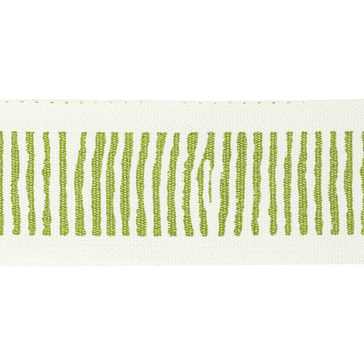 Halifax Tape 11 Apple by Stout Trim Stout Trim Halifax Tape 11 AppleTrim NATURAL BEAUTY TRIM 100%COT INDIA </p><p>Repeat: H: 2.500, V: 5.000 2.5 in - Fabric Carolina -