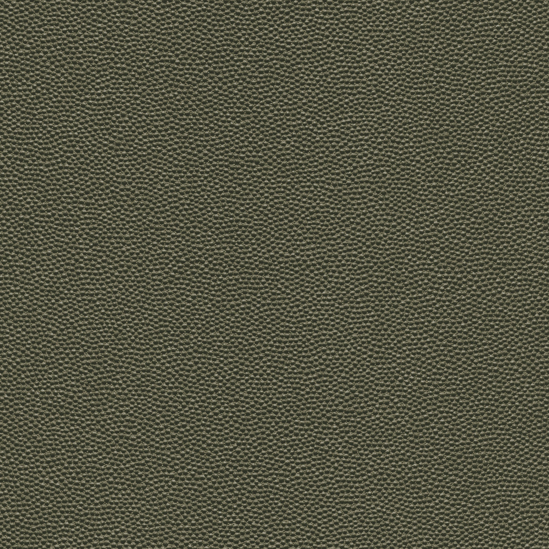 Kravet Design - Hammer-3 HAMMER.3.0 by Kravet Design Designer Fabric