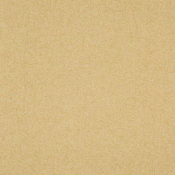 Hastings 16J8301 by JF Designer Fabric Everyday Crusader Fibreguard 100% Polyester China 85000 Horizontal: and Vertical: 57 - Swanky Fabrics -