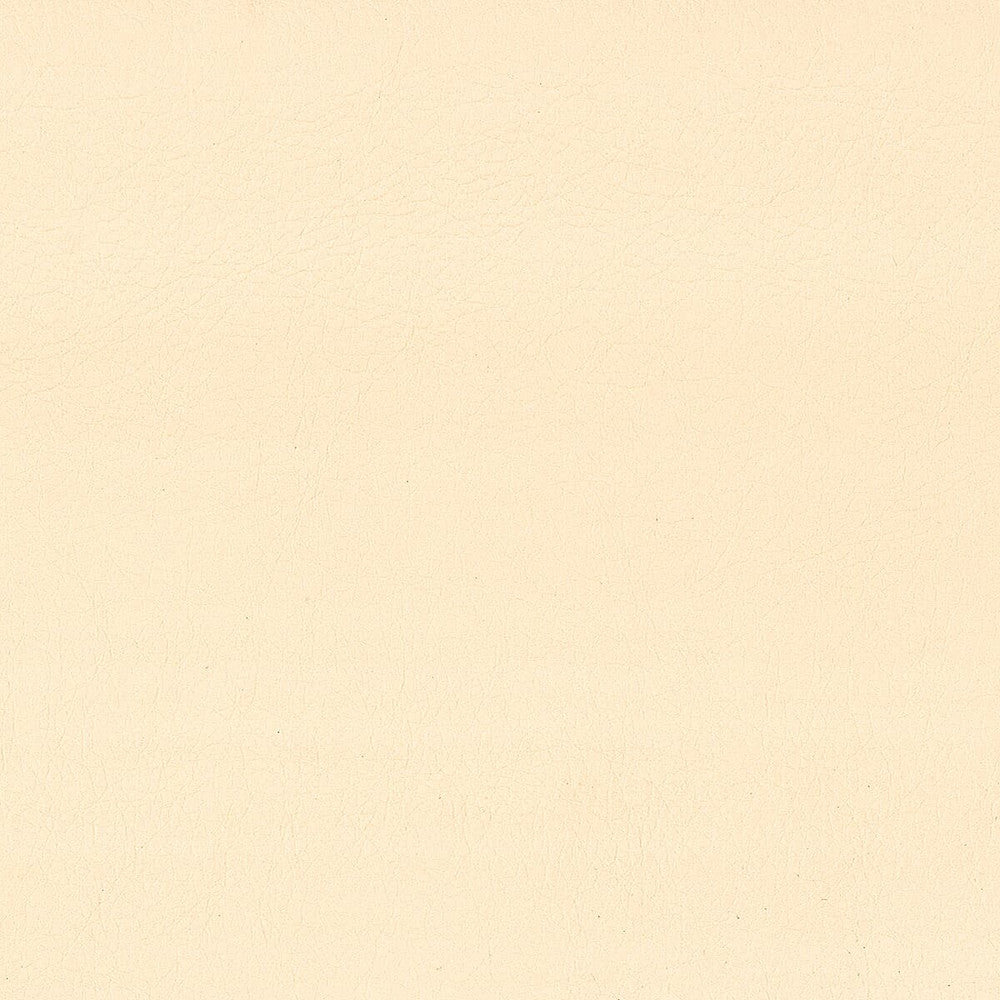 Hayride 4 Champagne by Stout Designer Fabric On The Go 100% Polyvinylchloride 1% Other TAIWAN FLAME RETARDANT-CA BULLETIN 117-SECTION E FLAME RETARDANT-U.F.A.C. CLASS 1 (OR A) FLAME RETARDANT-N.F.P.A. 260A CLASS 1 FLAME RETARDANT-FMVSS 302 WYZENBEEK 500 000 DOUBLE RUB WEAR TEST(EXTREMELY HEAVY DUTY) Horizontal: 0 and Vertical: 0 54 in - Swanky Fabrics -