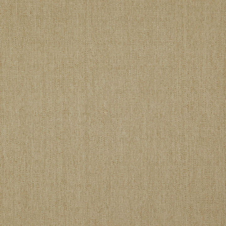 Heather 16J7571 by JF Designer Fabric Heather Book 100% Polyester India 85000 Horizontal: and Vertical: 54 - Swanky Fabrics -