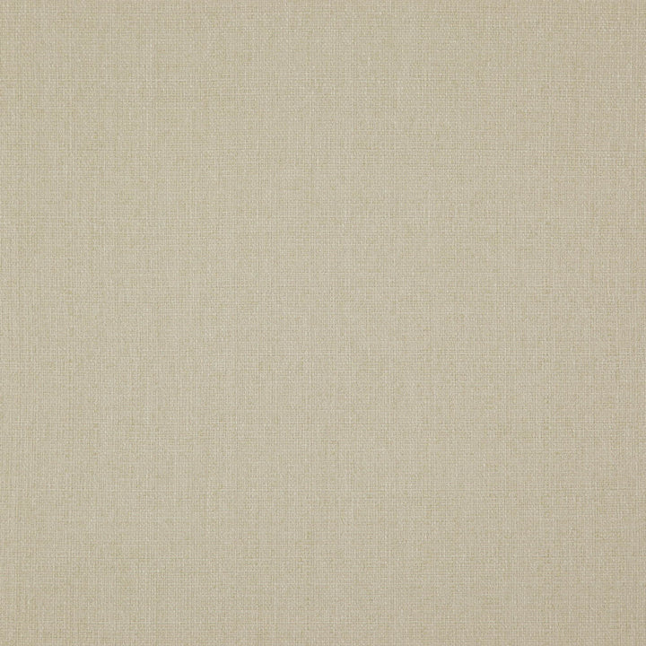Heather 31J7571 by JF Designer Fabric Heather Book 100% Polyester India 85000 Horizontal: and Vertical: 54 - Swanky Fabrics -