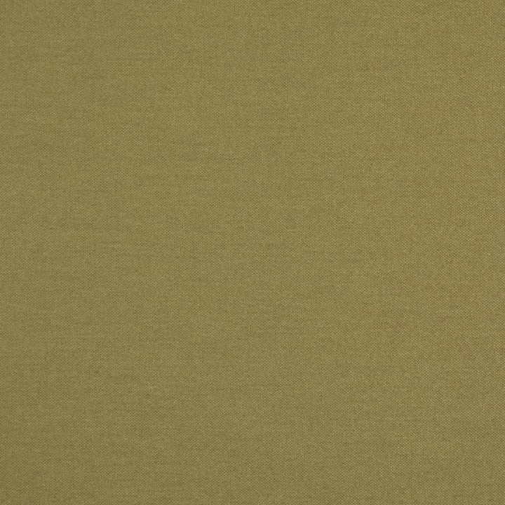 Hatha # 05 Linden by Maxwell Designer Fabric Curled Up V 100% POLYESTER CHINA 57.5" - Swanky Fabrics -
