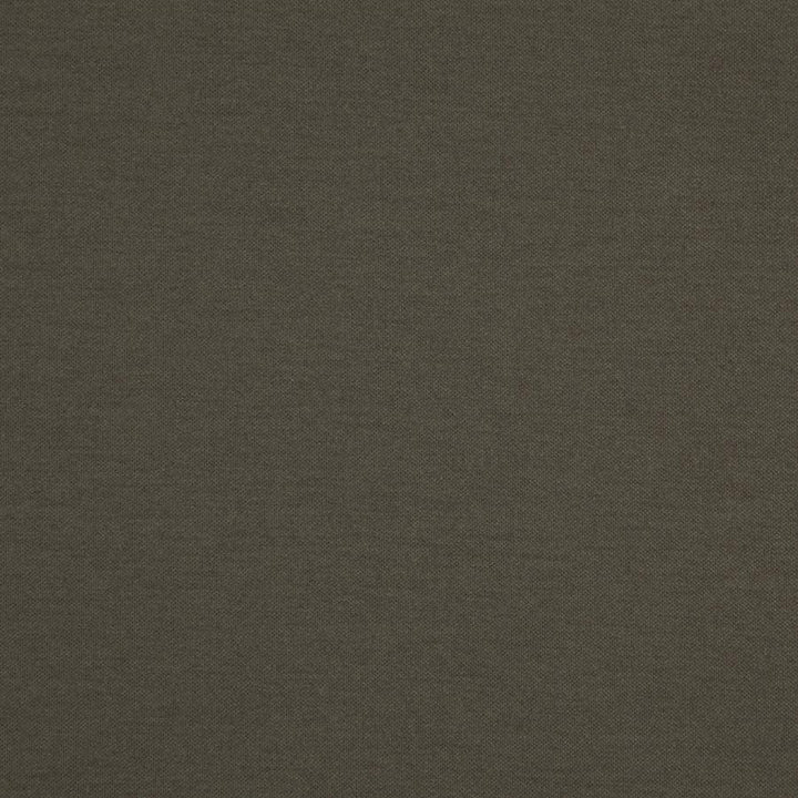 Hatha # 20 Fossil by Maxwell Designer Fabric Curled Up V 100% POLYESTER CHINA 57.5" - Swanky Fabrics -