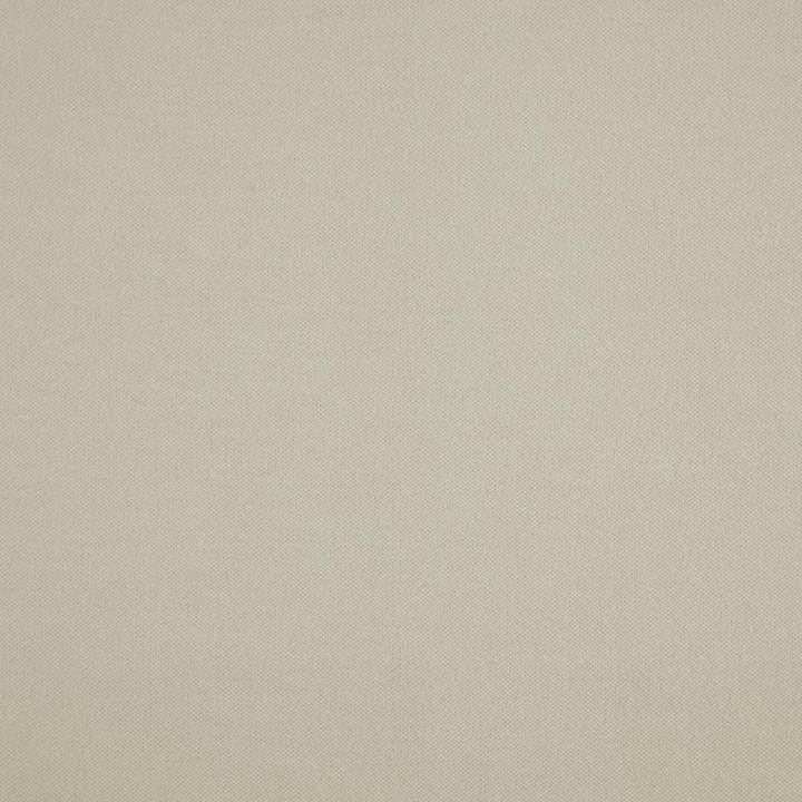 Hatha # 25 Angora by Maxwell Designer Fabric Curled Up V 100% POLYESTER CHINA 57.5" - Swanky Fabrics -
