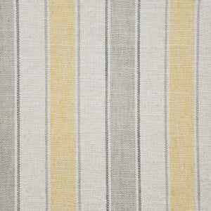 Holland # 411 City Scape by Maxwell Designer Fabric