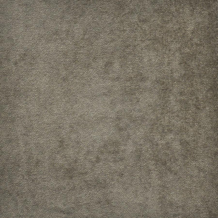 Hyde # 657 Almond by Maxwell Designer Fabric Performance Wovens-Vol.Iv Smokeshow 53% POLYESTER/40% ACRYLIC 7% VISCOSE TURKEY 54" - Swanky Fabrics -
