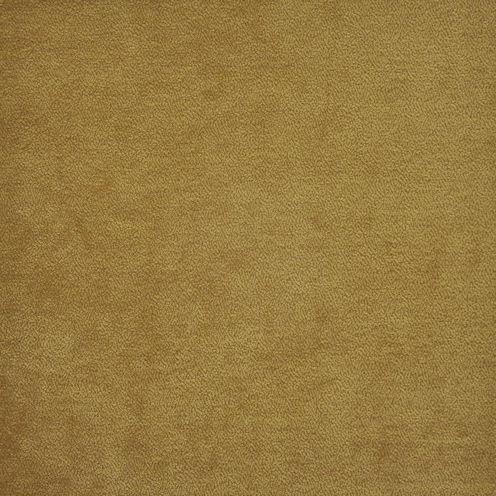Hyde # 816 Honey by Maxwell Designer Fabric Performance Wovens-Vol.Iv Boudoir 53% POLYESTER/40% ACRYLIC 7% VISCOSE TURKEY 54" - Swanky Fabrics -
