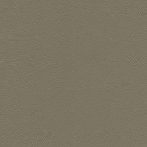 Herve-Nj # 741 Cave by Maxwell Designer Fabric