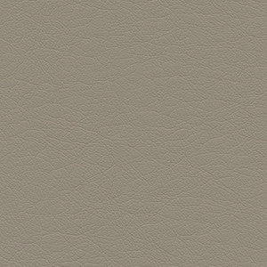 Highborn-Nj # 403 Cliff by Maxwell Designer Fabric